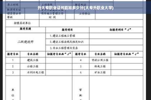 升大专职业证书能加多少分(大专升职业大学)