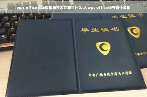 wps office高级应用与技术能拿到什么证,wps office证书有什么用