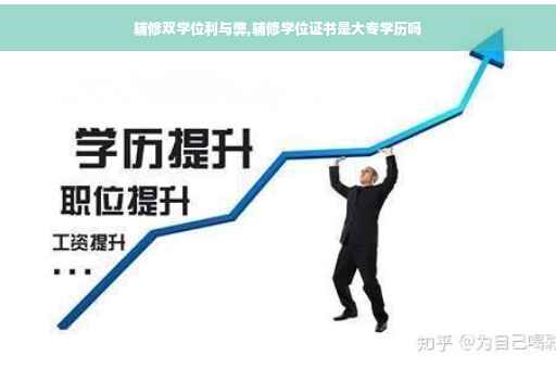辅修双学位利与弊,辅修学位证书是大专学历吗