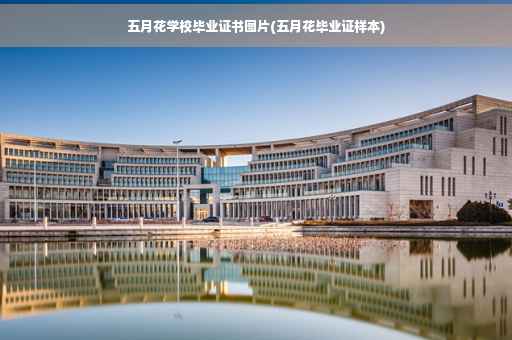 五月花学校毕业证书图片(五月花毕业证样本)