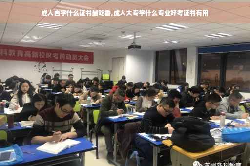 成人自学什么证书最吃香,成人大专学什么专业好考证书有用