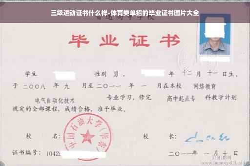 三级运动证书什么样-体育类单招的毕业证书图片大全