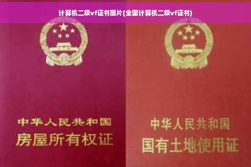 计算机二级vf证书图片(全国计算机二级vf证书)