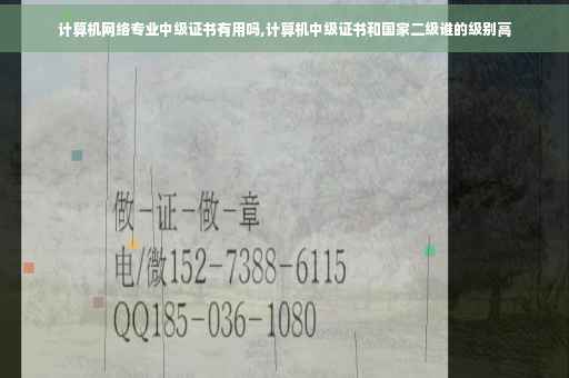 计算机网络专业中级证书有用吗,计算机中级证书和国家二级谁的级别高