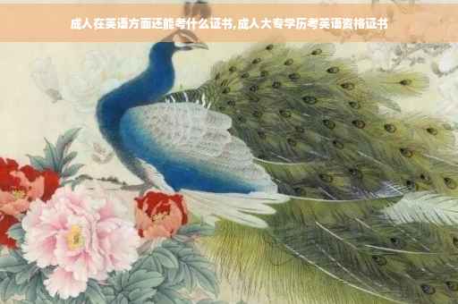 成人在英语方面还能考什么证书,成人大专学历考英语资格证书
