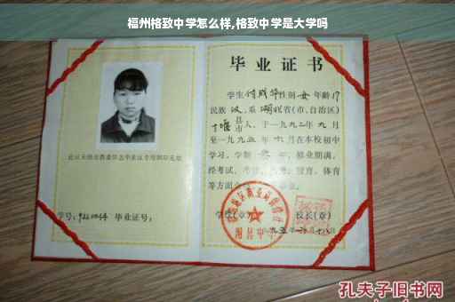 福州格致中学怎么样,格致中学是大学吗