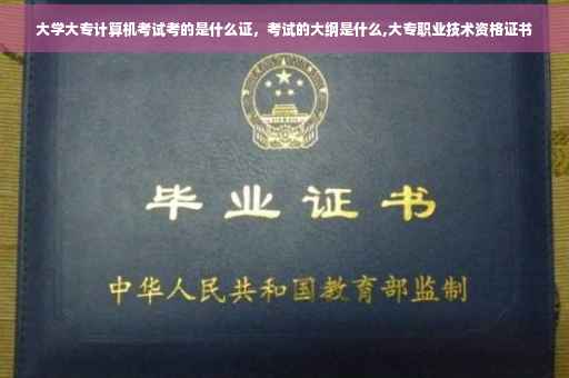 大学大专计算机考试考的是什么证，考试的大纲是什么,大专职业技术资格证书