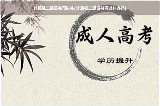 计算机二级证书可以补(计算机二级证书可以补办吗)