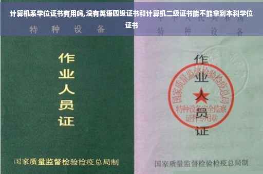 计算机系学位证书有用吗,没有英语四级证书和计算机二级证书能不能拿到本科学位证书