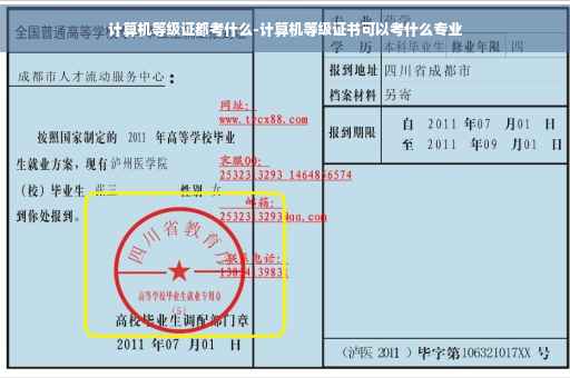 计算机等级证都考什么-计算机等级证书可以考什么专业