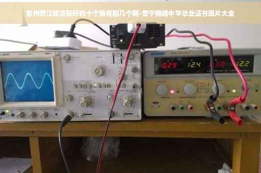 泉州晋江经济较好的十个镇有那几个啊-普宁梅峰中学毕业证书图片大全