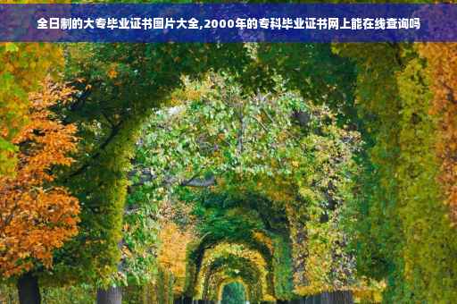 全日制的大专毕业证书图片大全,2000年的专科毕业证书网上能在线查询吗