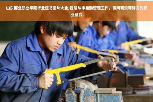 山东商业职业学院毕业证书图片大全,我是从事后勤管理工作，请问有没有相关的职业证书