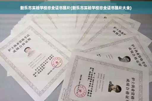 新乐市实验学校毕业证书图片(新乐市实验学校毕业证书图片大全)