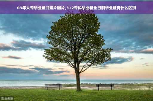 03年大专毕业证书照片图片,3+2专科毕业和全日制毕业证有什么区别