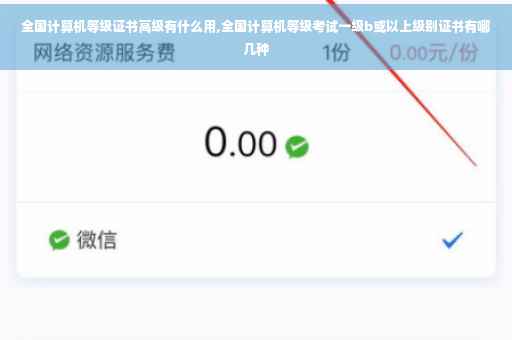 全国计算机等级证书高级有什么用,全国计算机等级考试一级b或以上级别证书有哪几种