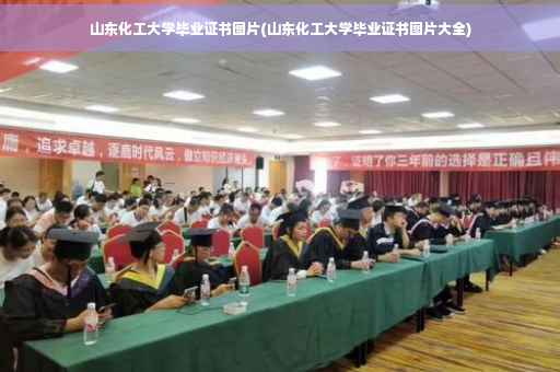 山东化工大学毕业证书图片(山东化工大学毕业证书图片大全)