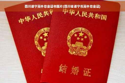 四川遂宁高中毕业证书图片(四川省遂宁市高中毕业证)