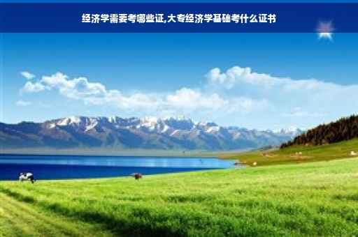 经济学需要考哪些证,大专经济学基础考什么证书