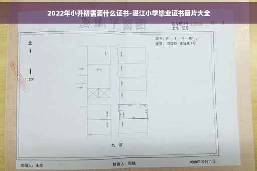 2022年小升初需要什么证书-湛江小学毕业证书图片大全