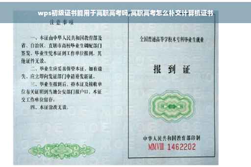 wps初级证书能用于高职高考吗,高职高考怎么补交计算机证书