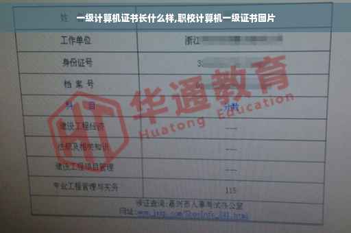 一级计算机证书长什么样,职校计算机一级证书图片