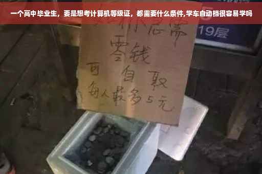 一个高中毕业生，要是想考计算机等级证，都需要什么条件,学车自动档很容易学吗