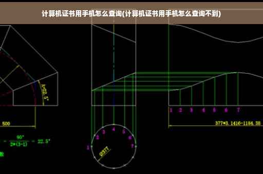 计算机证书用手机怎么查询(计算机证书用手机怎么查询不到)