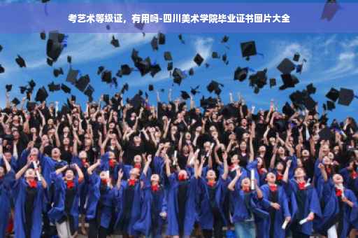 考艺术等级证，有用吗-四川美术学院毕业证书图片大全