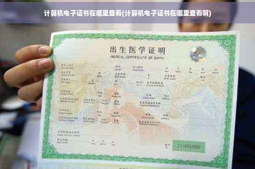 计算机电子证书在哪里查看(计算机电子证书在哪里查看啊)