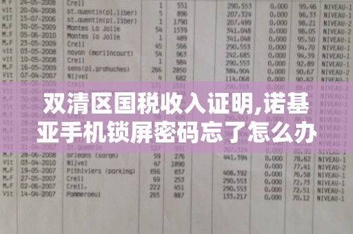 双清区国税收入证明,诺基亚手机锁屏密码忘了怎么办