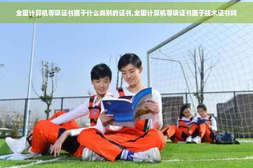 全国计算机等级证书属于什么类别的证书,全国计算机等级证书属于技术证书吗