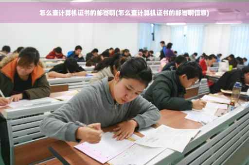 怎么查计算机证书的邮寄啊(怎么查计算机证书的邮寄啊信息)