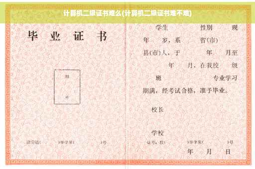 计算机二级证书难么(计算机二级证书难不难)