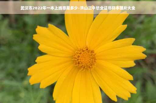 武汉市2022年一本上线率是多少-洪山三中毕业证书样本图片大全