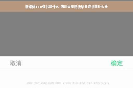 新媒体1+x证书是什么-四川大学新传毕业证书图片大全