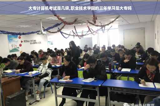 大专计算机考试是几级,职业技术学院的三年学习是大专吗