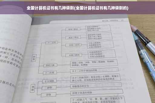 全国计算机证书有几种级别(全国计算机证书有几种级别的)