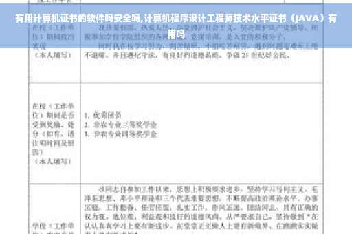 有用计算机证书的软件吗安全吗,计算机程序设计工程师技术水平证书（JAVA）有用吗