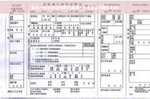 陆丰一中毕业证书图片(陆丰一中毕业证书图片大全)