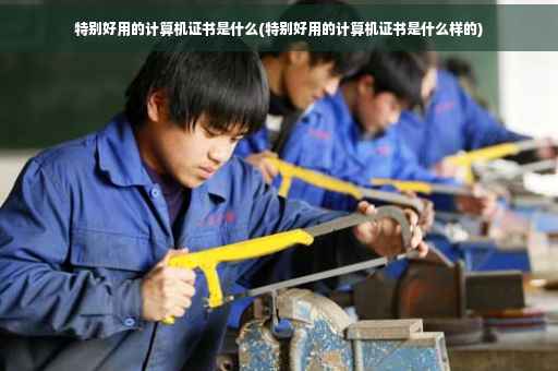 特别好用的计算机证书是什么(特别好用的计算机证书是什么样的)
