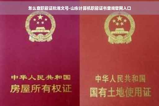 怎么查职称证批准文号-山东计算机职称证书查询官网入口 怎么查职称证批准文号-山东计算机职称证书查询官网入口