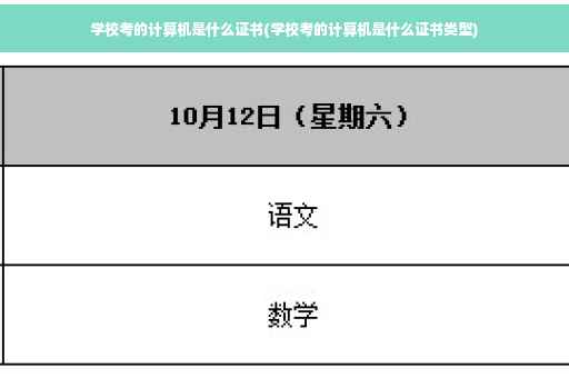 学校考的计算机是什么证书(学校考的计算机是什么证书类型)