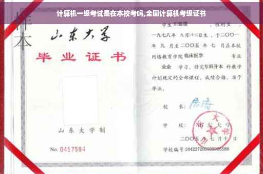 计算机一级考试是在本校考吗,全国计算机考级证书