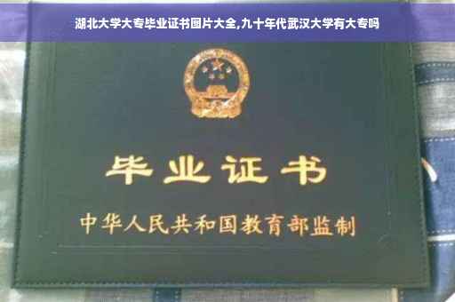 湖北大学大专毕业证书图片大全,九十年代武汉大学有大专吗