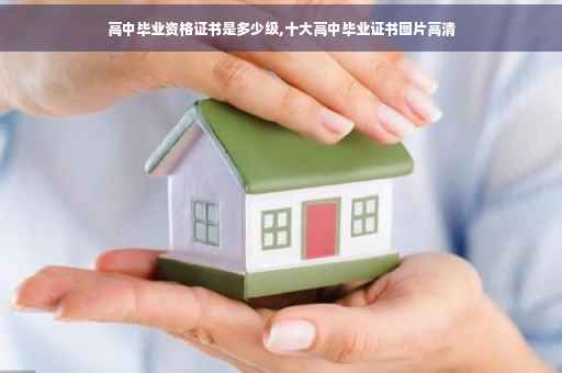 高中毕业资格证书是多少级,十大高中毕业证书图片高清