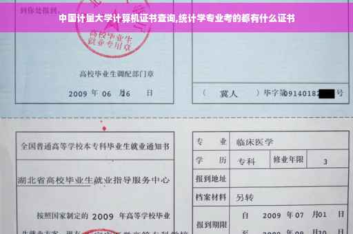 中国计量大学计算机证书查询,统计学专业考的都有什么证书