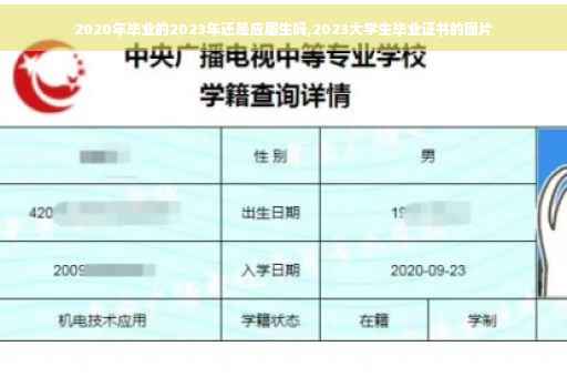 2020年毕业的2023年还是应届生吗,2023大学生毕业证书的图片