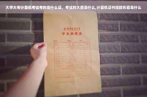 大学大专计算机考试考的是什么证，考试的大纲是什么,计算机证书技能名称是什么
