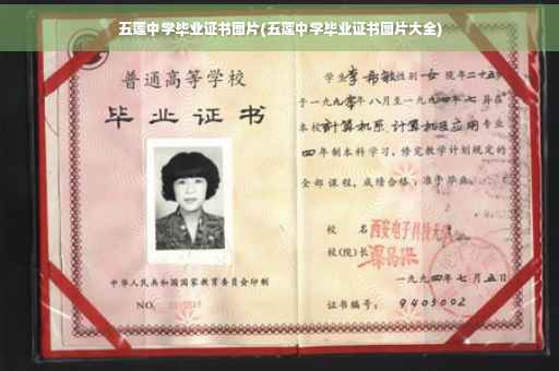 五莲中学毕业证书图片(五莲中学毕业证书图片大全)